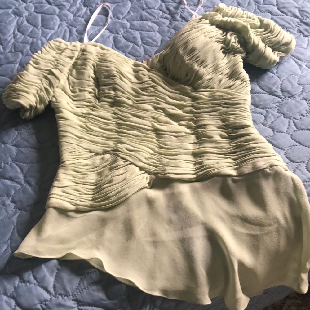 Pale green shirred silk Chetta B off-the-shoulder top. Zips In back w/hook & eye